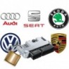 Réparation anti-demarrage Audi Seat Skoda Volkswagen calculateur Bosch EDC17 MED17