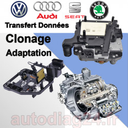 Service de Programmation Clonage Boite Auto DSG Audi Seat Skoda Volkswagen Porsche