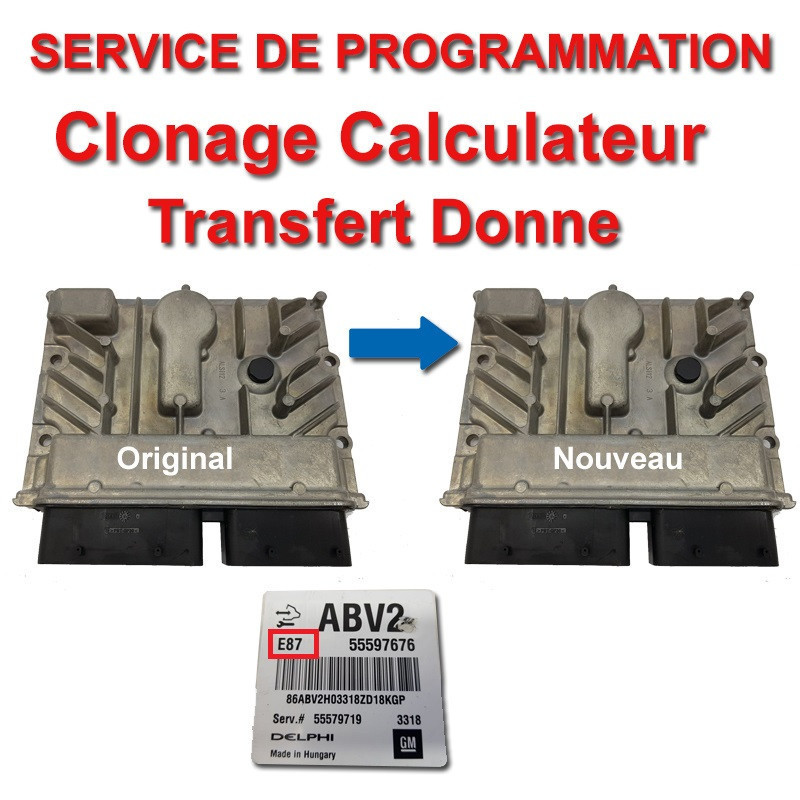 Clonage Calculateur Opel ACDelco E87 - service de programmation (Transfert de données)