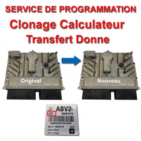 Clonage Calculateur Opel ACDelco E87 - service de programmation (Transfert de données)