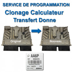 Clonage Calculateur Opel ACDelco E87 - service de programmation (Transfert de données)