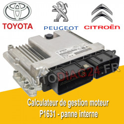 Réparation Calculateur Bosch 0 281 033 849 0281033849 EDC17C60 Peugeot Citroën P1631 P0003 P0245