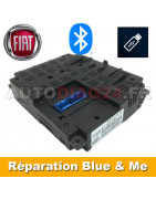 Réparation Module Blue&me